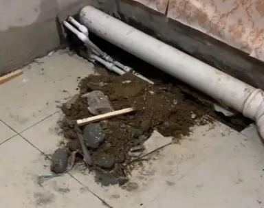河西卫生间漏水检测哪家好